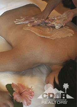 81757 Rustic Canyon Drive La Quinta, CA 92253 - Photo 40 of 40 a view of a plant in a room