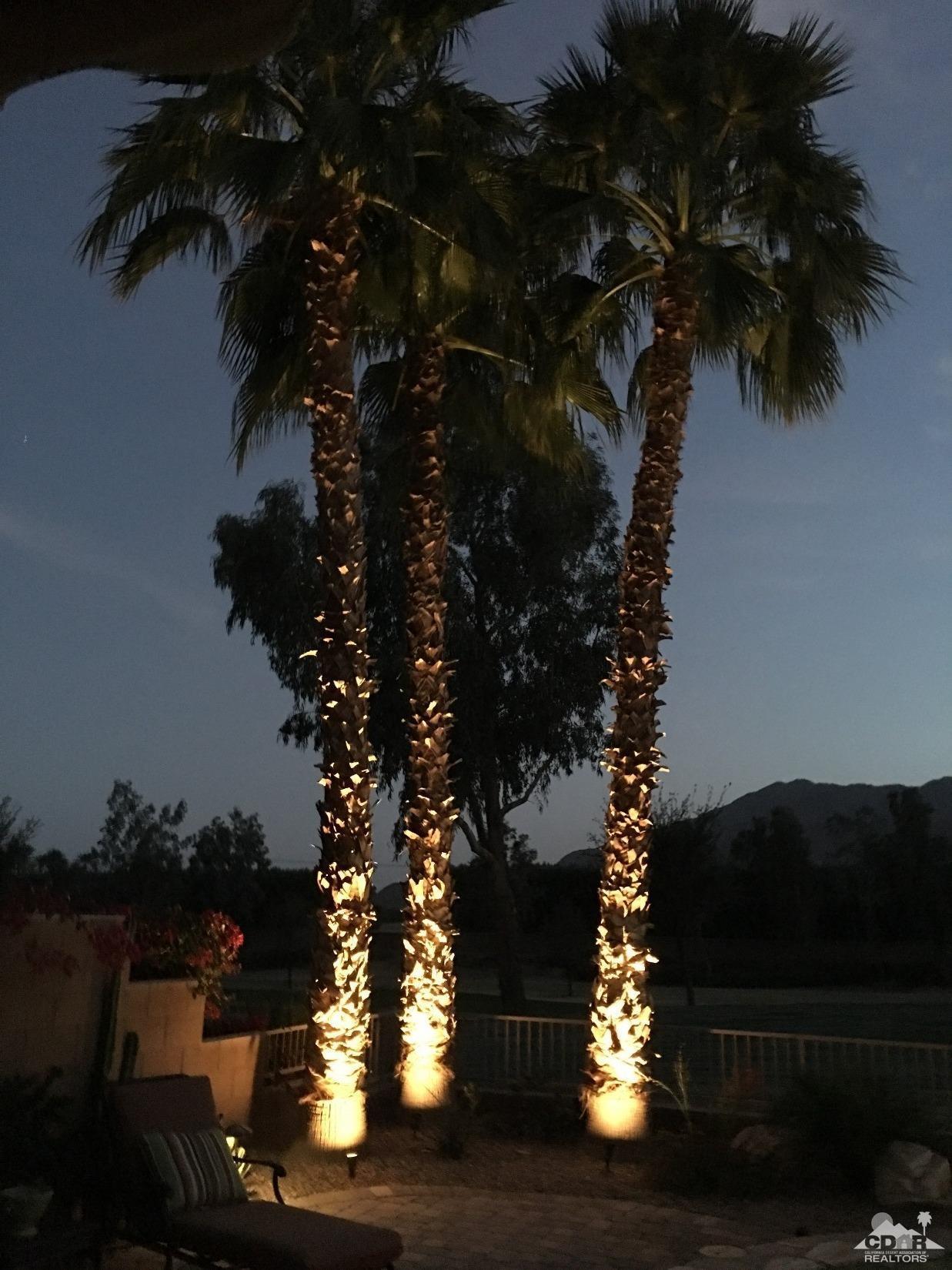 81757 Rustic Canyon Drive La Quinta, CA 92253 - Photo 5 of 40 a picture of tree