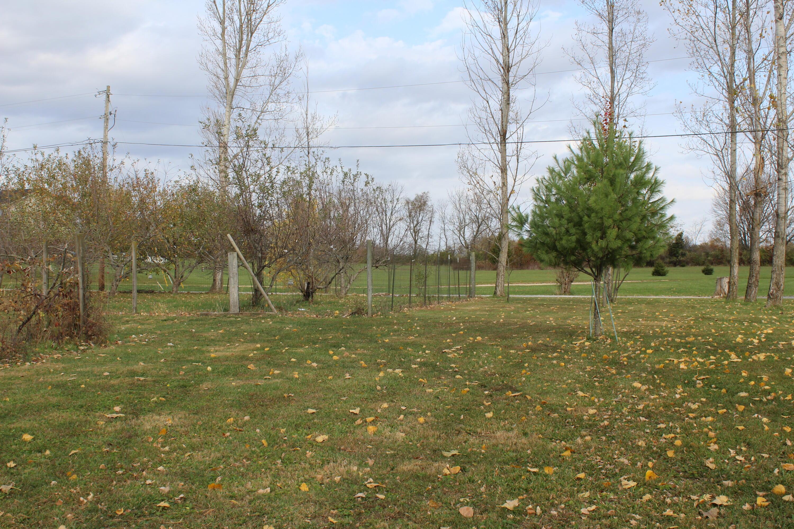 11310 Dingess Road Circleville, OH 43113 - Photo 39 of 44 IMG_1066