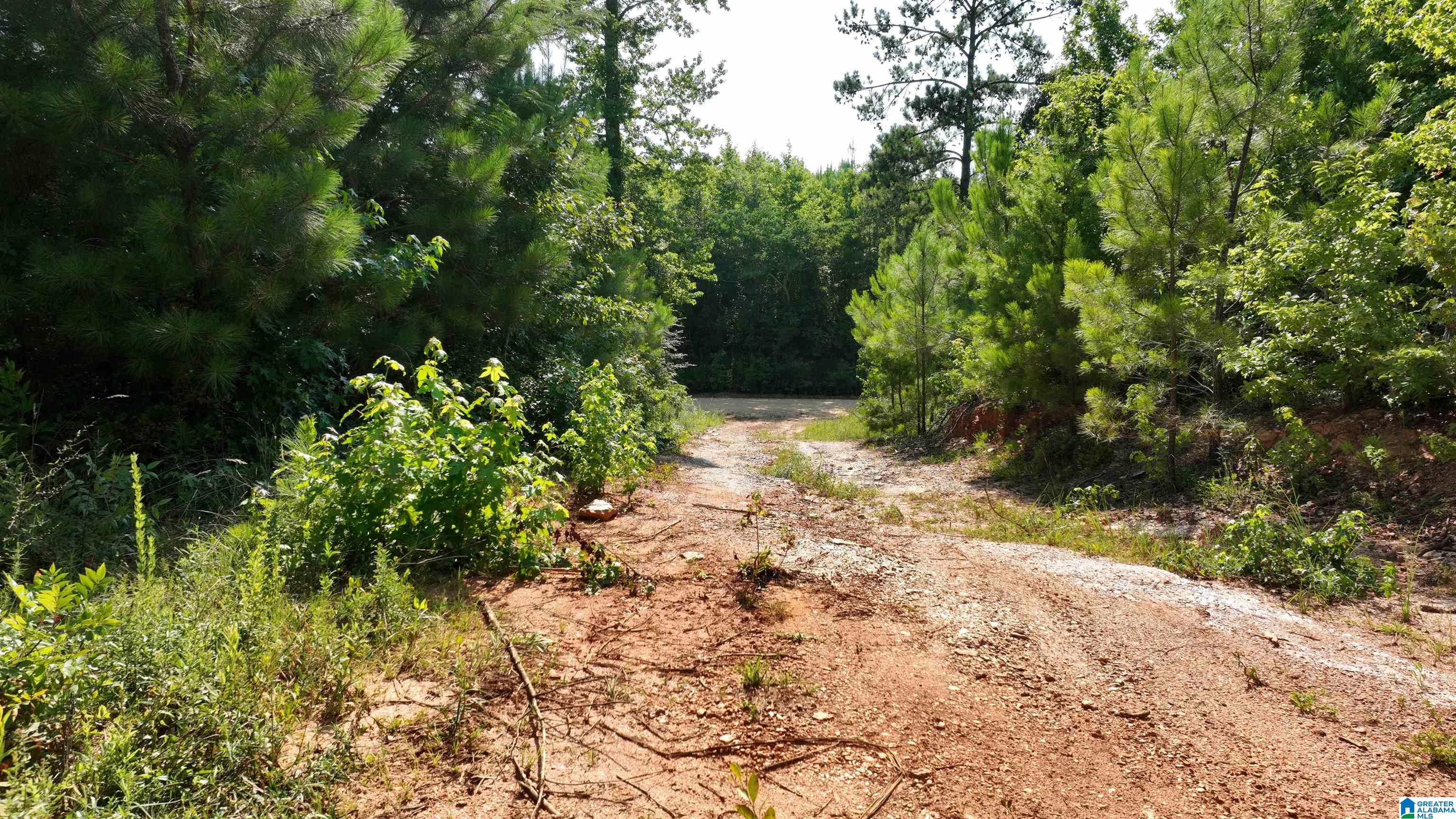2 County Road 253, Unit 2 Clanton, AL 35046 - Photo 37 of 40