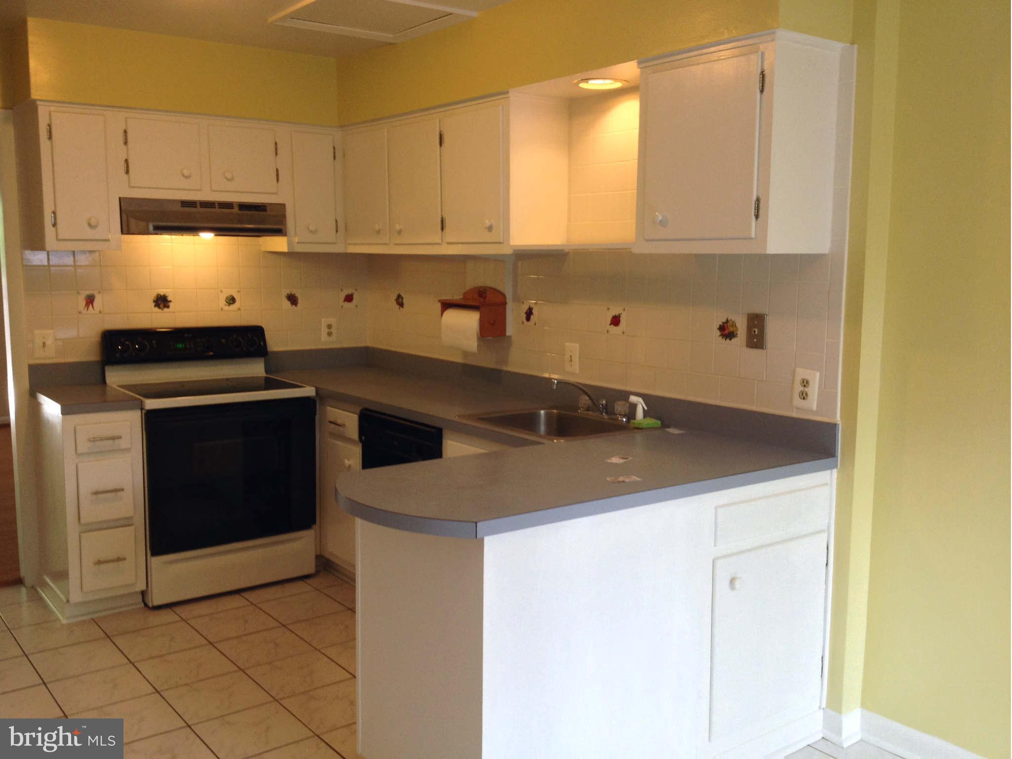 1327 Northgate Square Reston, VA 20190 - Photo 4 of 17 Kitchen