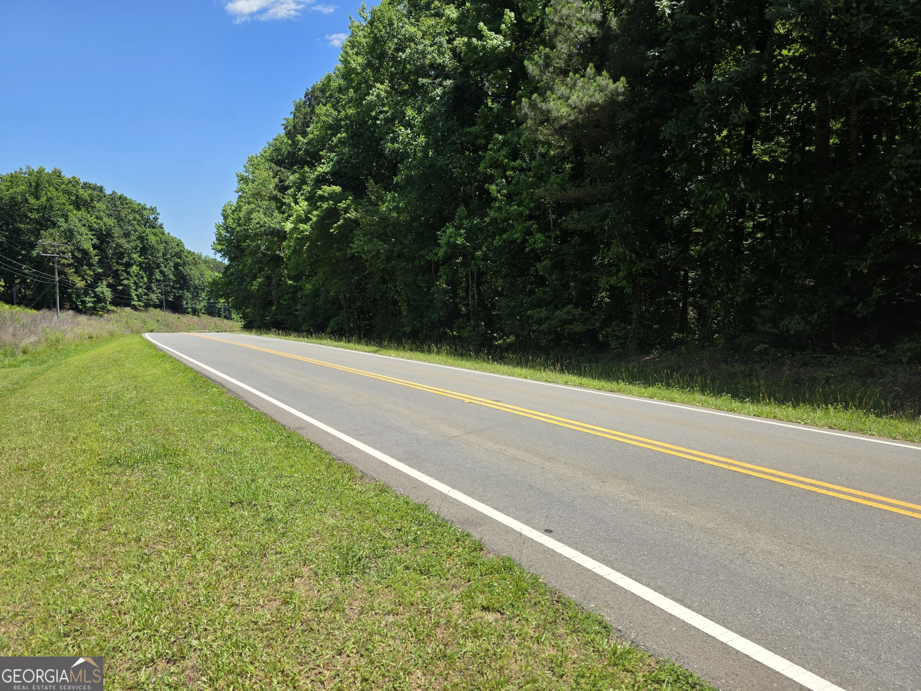 0 Cowart Mountain Tract 1 Road Jasper, GA 30143 - Photo 4 of 13