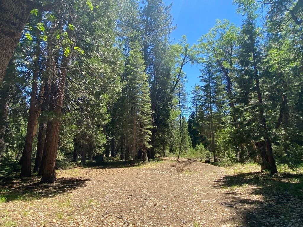 3-e-29 Red Fir Road McCloud, CA 96057 - Photo 15 of 22 Gallery Image 15