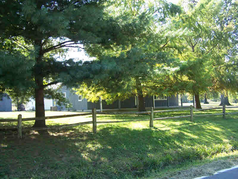302 Park Park Ina, IL 62846 - Photo 18 of 22