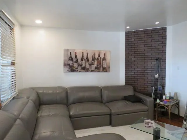 a room with a potted plant and a potted plant