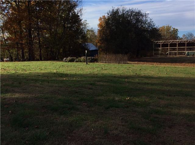 1305 Poplar Ridge Road Chapmansboro, TN 37035 - Photo 3 of 14 Nice backyard with enough room for your garden.