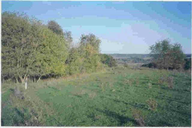0 North Pilot Knob Road Galena, IL 61036 - Photo 2 of 4 Gallery Image 2