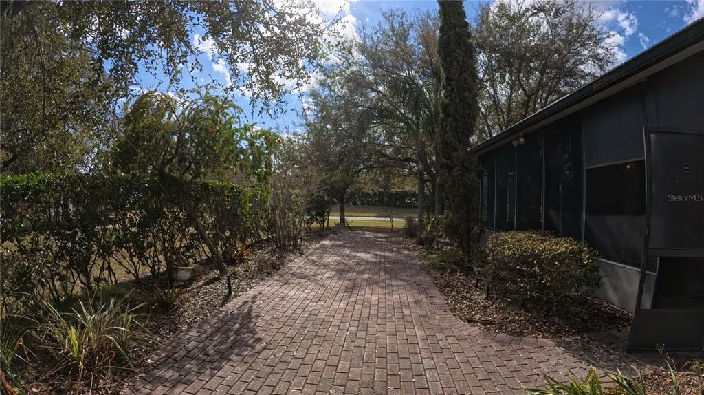 100 Flame Vine Way Groveland, FL 34736 - Photo 27 of 38 a backyard of a house with lots of green space