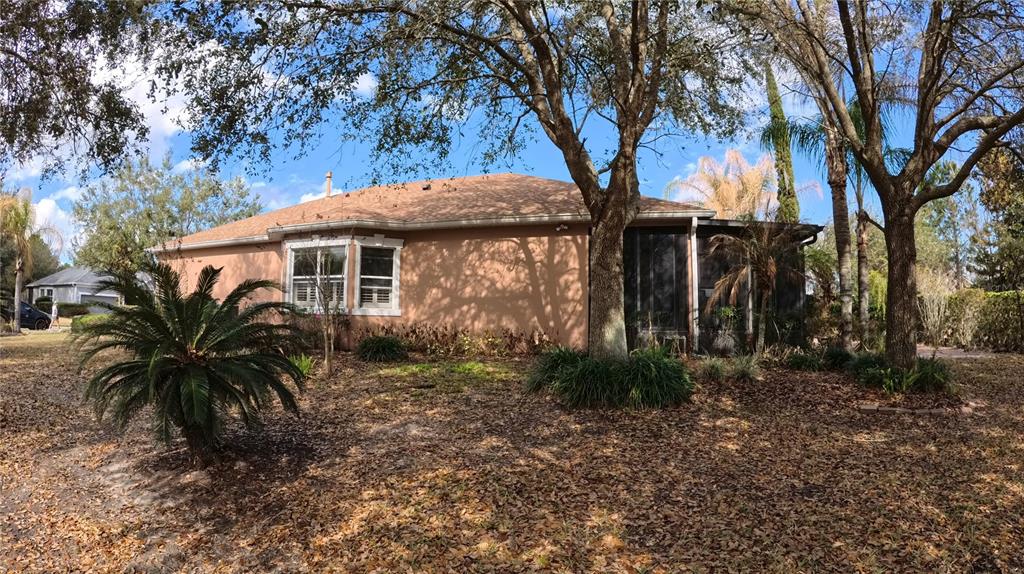 100 Flame Vine Way Groveland, FL 34736 - Photo 29 of 38 a house that has a tree in front of it