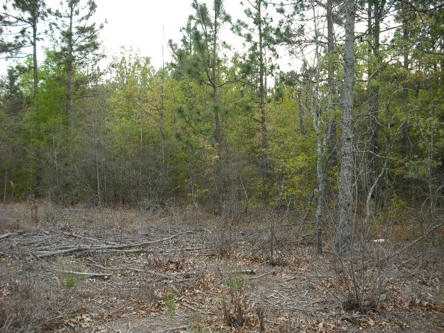 0 Hydrick Road Batesburg, SC 29006 - Photo 1 of 1