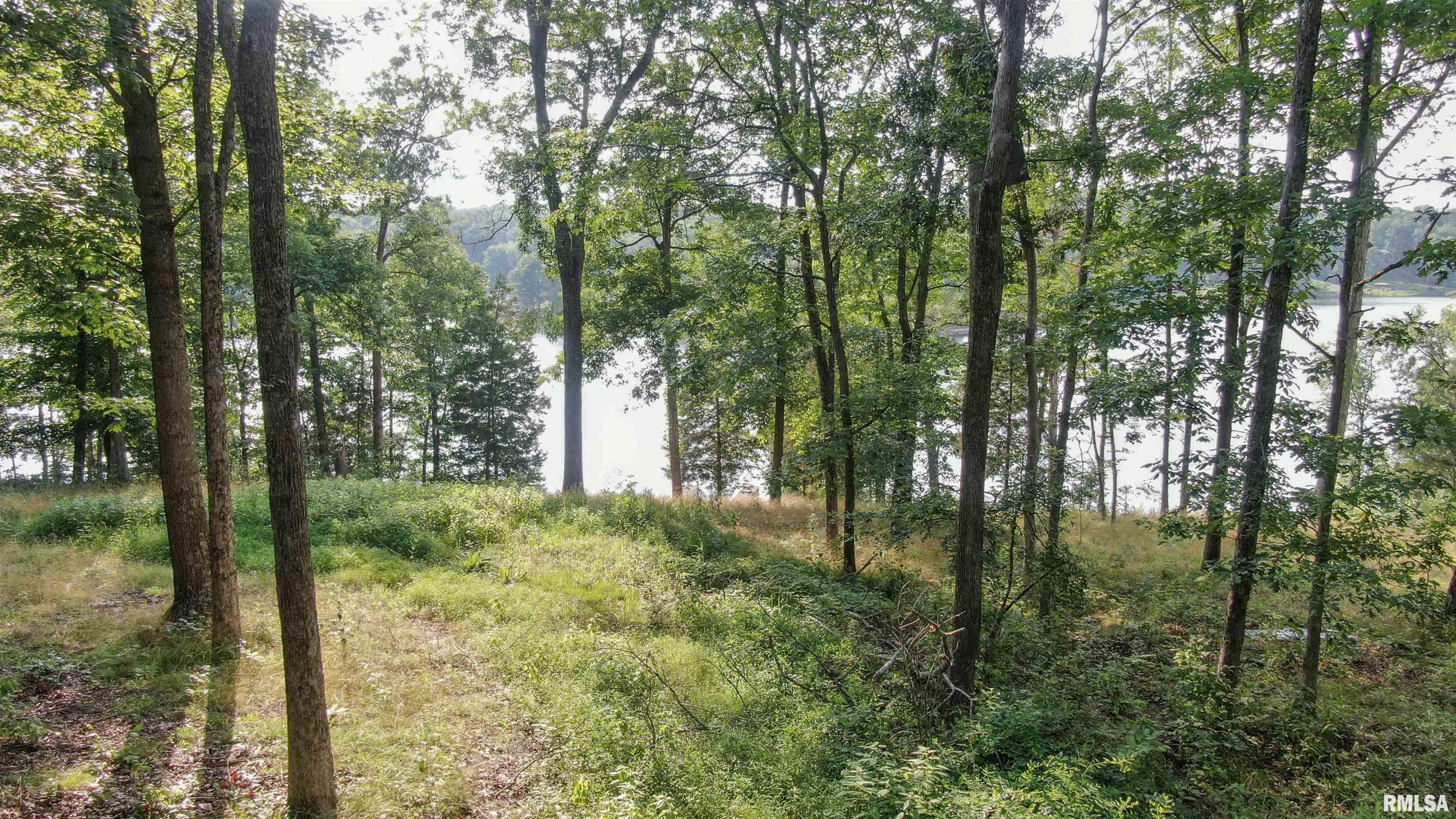 Lot 185 Parrish Ridge Lane Goreville, IL 62939 - Photo 6 of 7