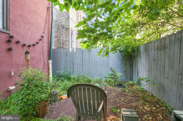 a view of a backyard with plants and large tree