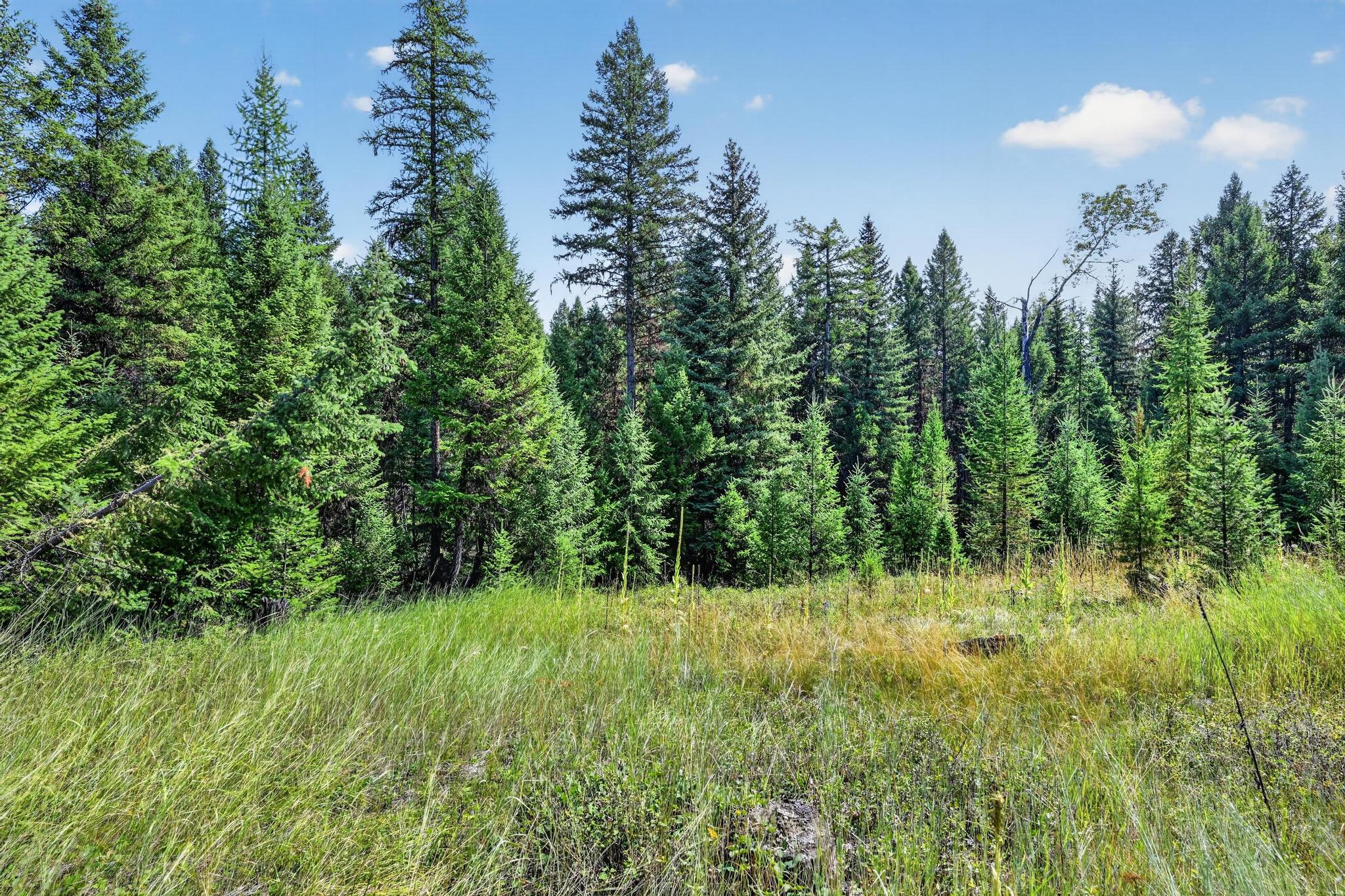 Lot 5 Forest Ridge Road Eureka, MT 59917 - Photo 15 of 23 Gallery Image 15