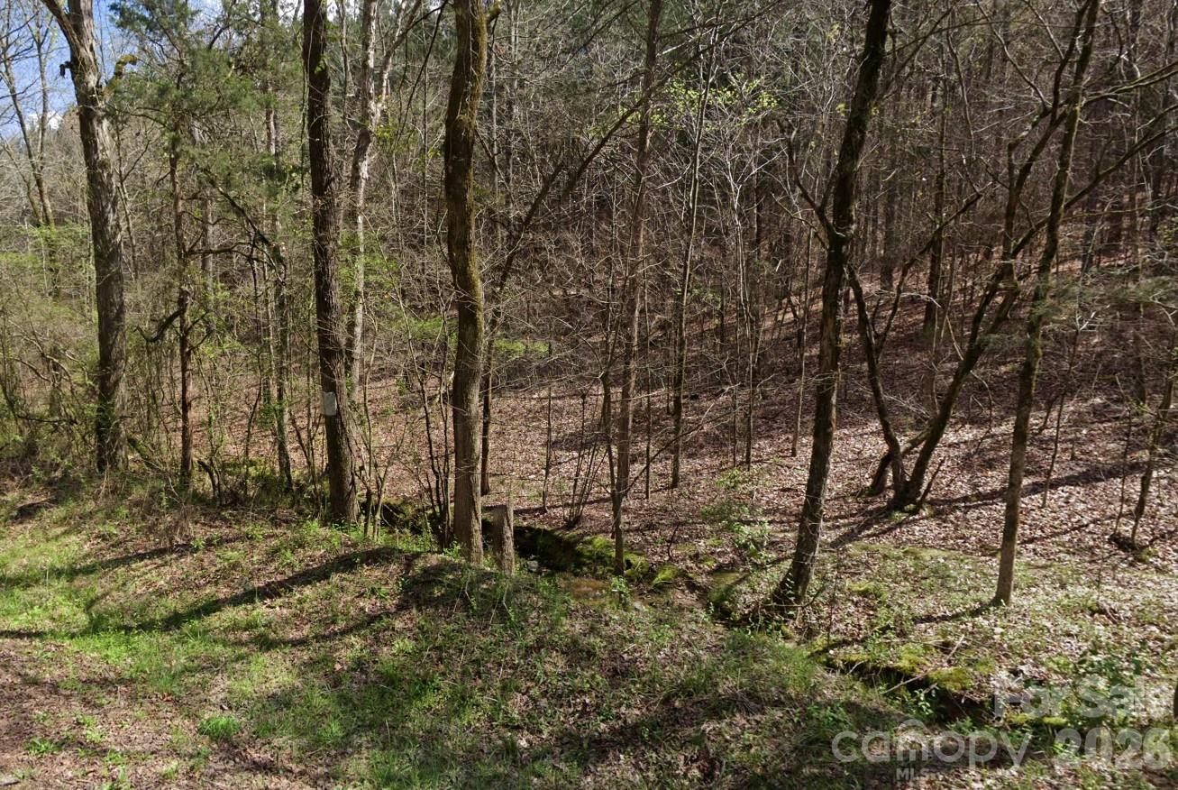 0 Morton Road Polkton, NC 28135 - Photo 1 of 2