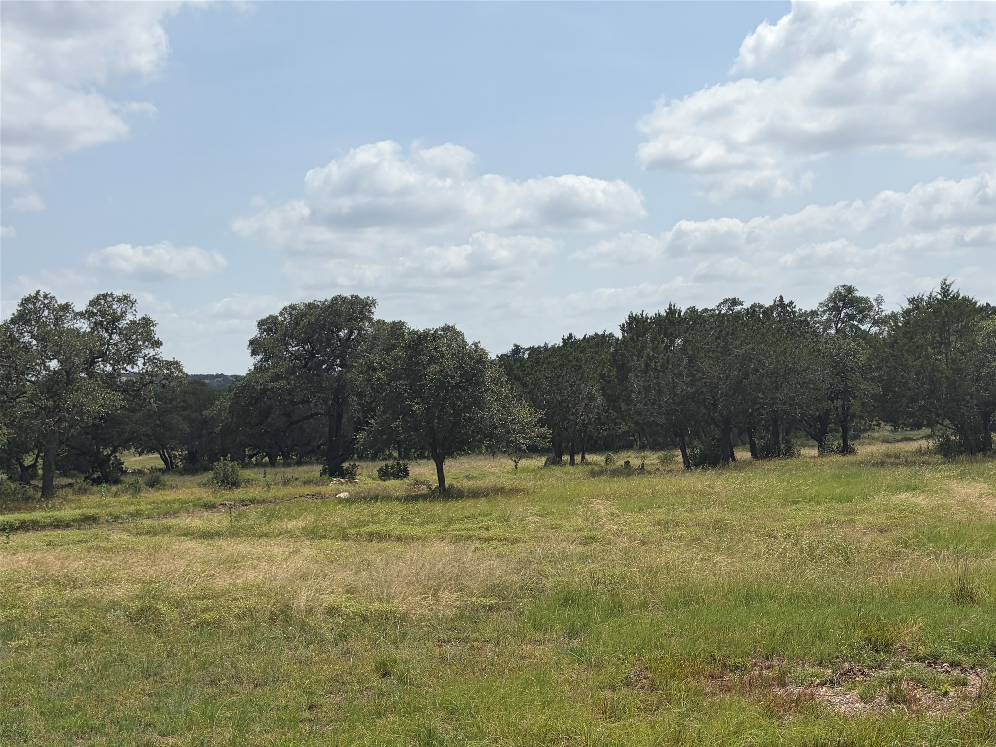 336 River Cliff Place Spring Branch, TX 78070 - Photo 8 of 14