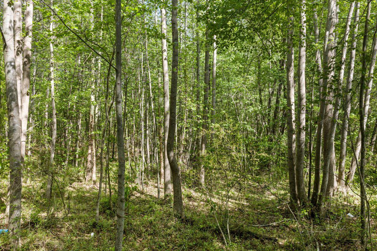 Lot 96 Sturgeon Road Lawrenceville, VA 23868 - Photo 19 of 23