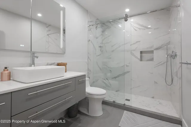 a bathroom with a sink a toilet and shower