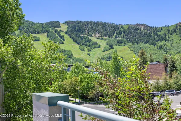 a view of a forest with a street