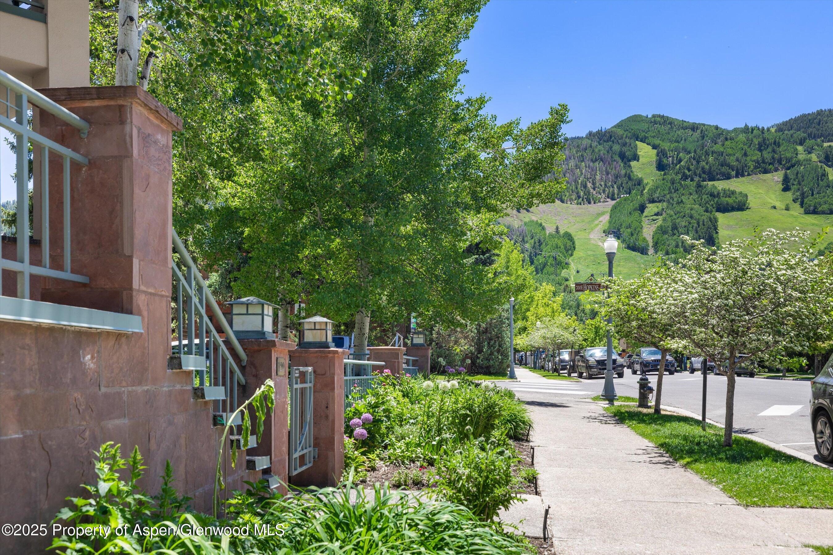 120 South Spring Street, Unit 1 Aspen, CO 81611 - Photo 33 of 37 a view of a garden with plants