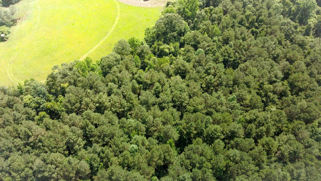 Xx Burris Road Smithdale, MS 39664 - Photo 15 of 26 Photo 15