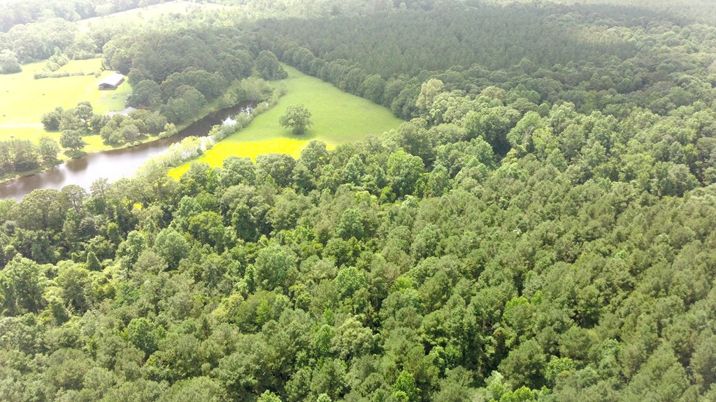 Xx Burris Road Smithdale, MS 39664 - Photo 16 of 26 Photo 16