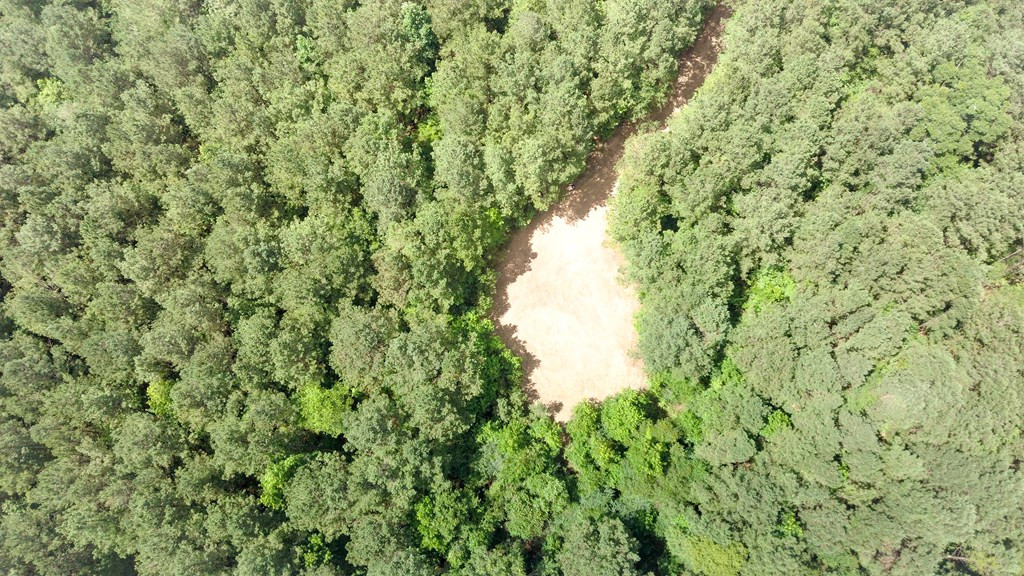 Xx Burris Road Smithdale, MS 39664 - Photo 18 of 26 Photo 18