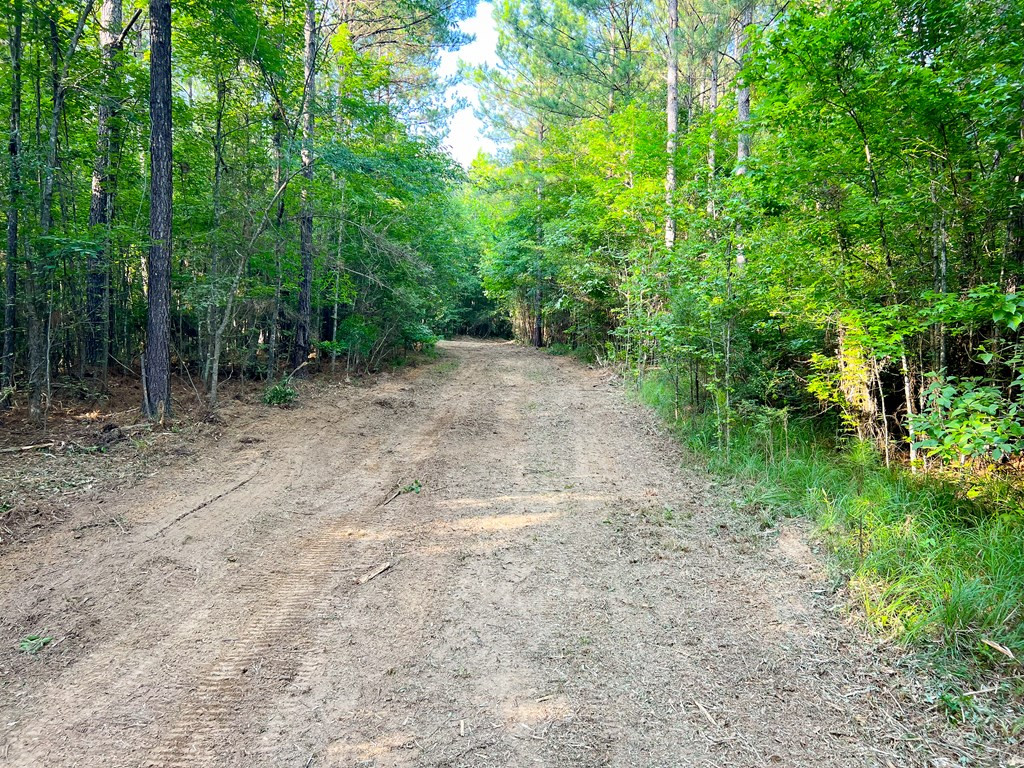 Xx Burris Road Smithdale, MS 39664 - Photo 20 of 26 Photo 20