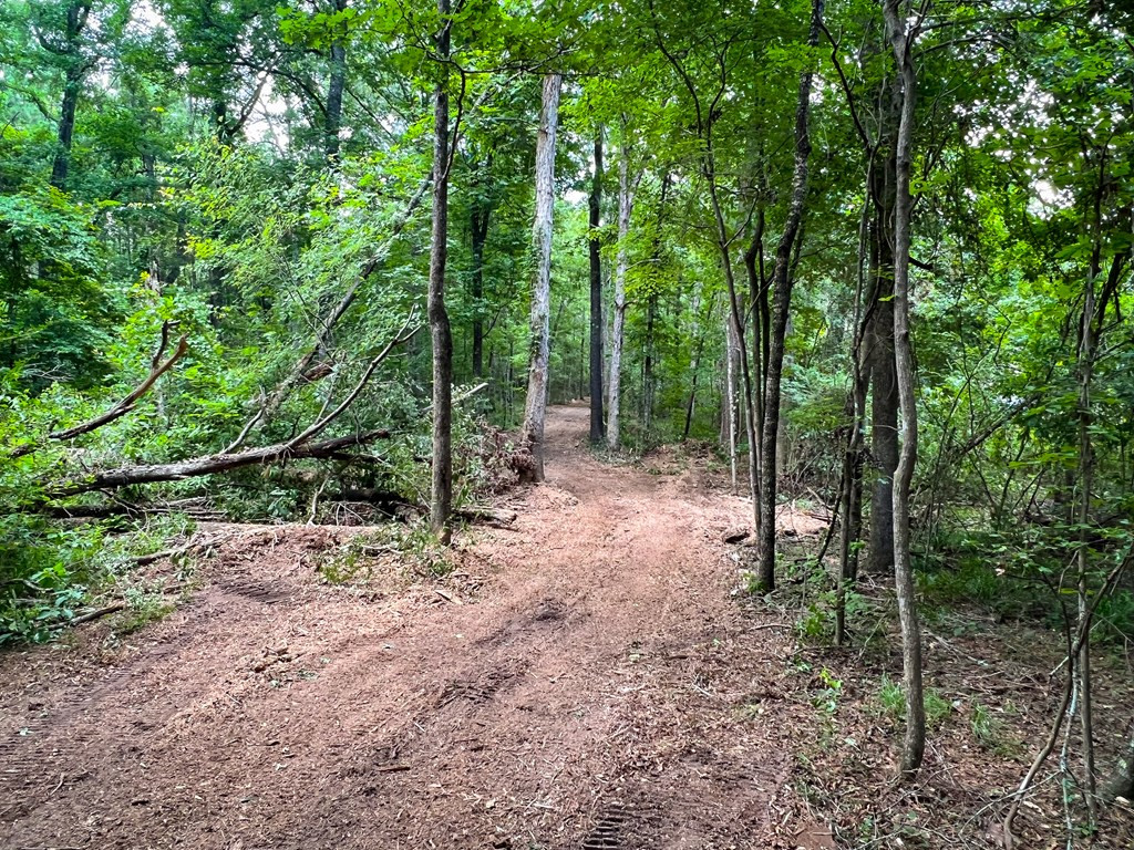 Xx Burris Road Smithdale, MS 39664 - Photo 22 of 26 Photo 22