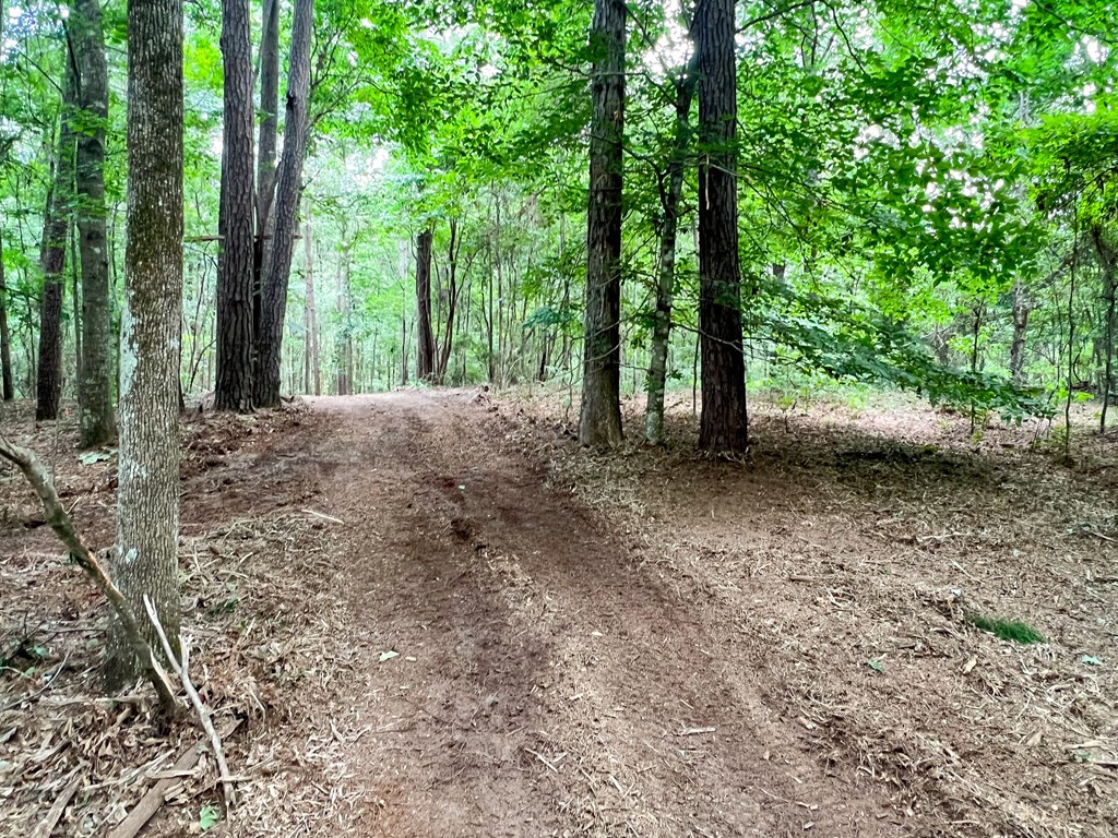 Xx Burris Road Smithdale, MS 39664 - Photo 23 of 26 Photo 23