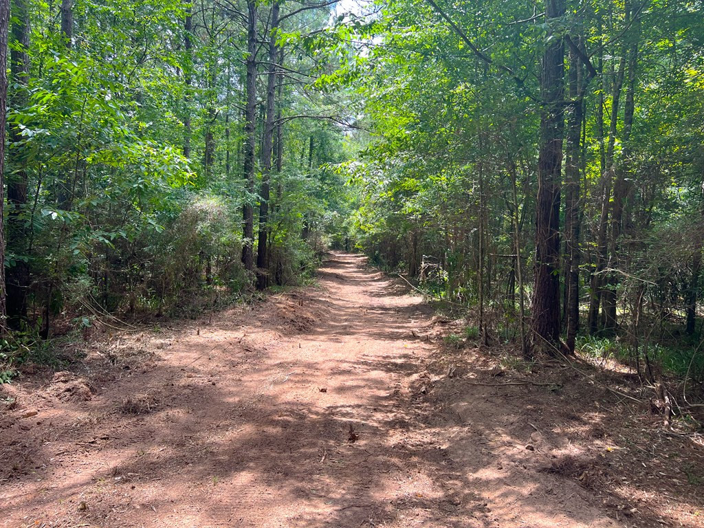 Xx Burris Road Smithdale, MS 39664 - Photo 25 of 26 Photo 25