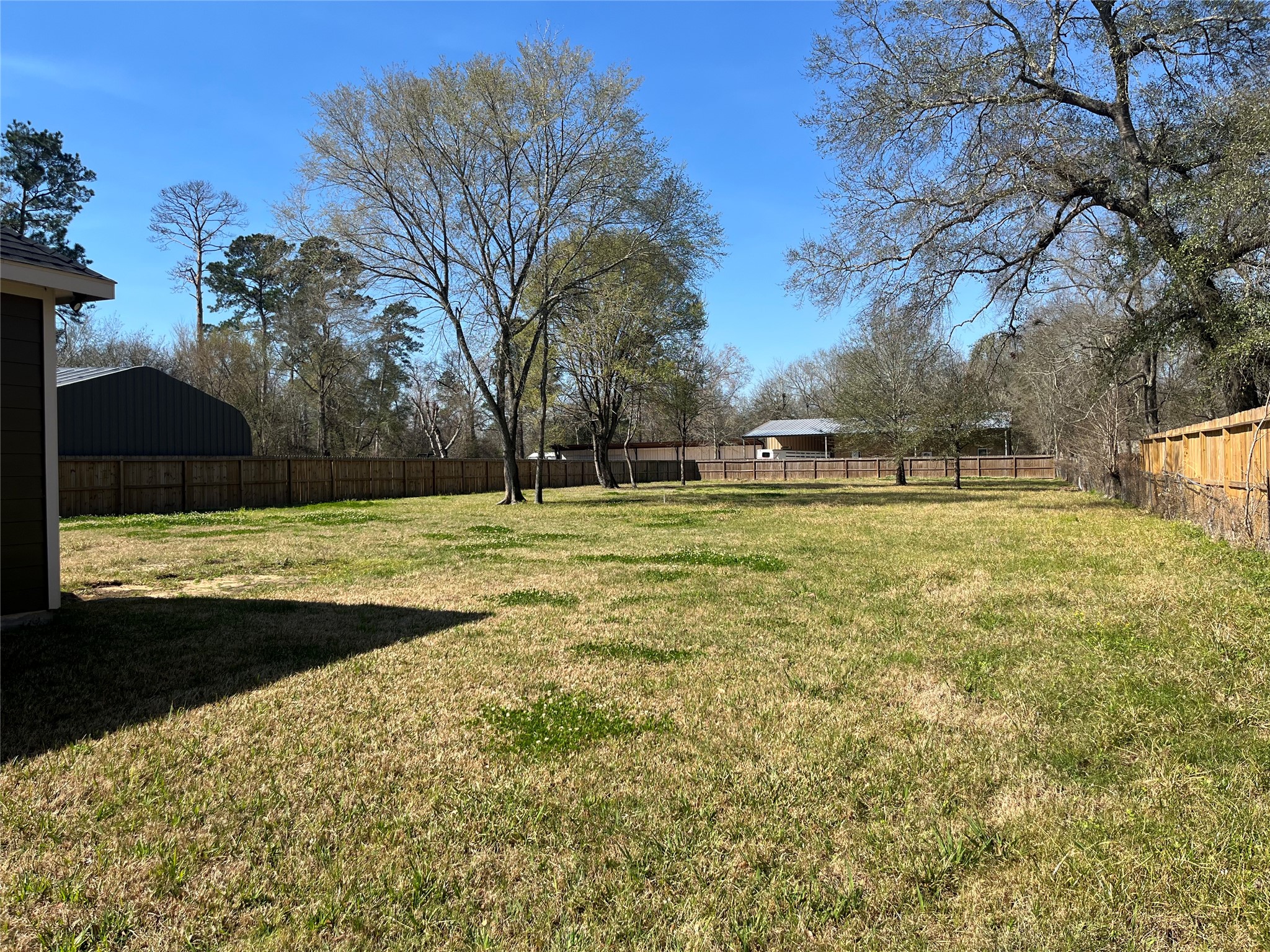 30023 Rosebud Street Magnolia, TX 77354 - Photo 18 of 21 a view of pool with green space