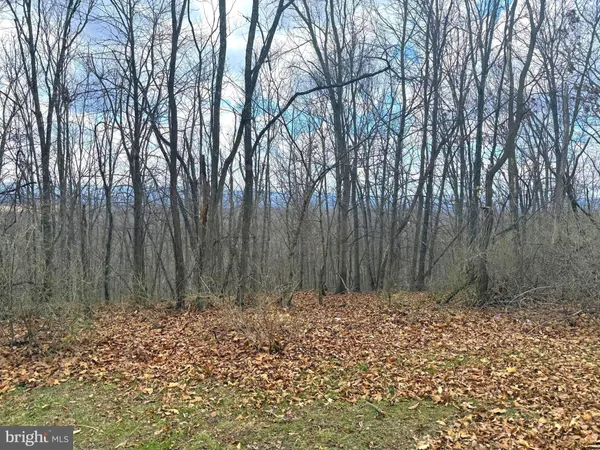 a view of wooden fence