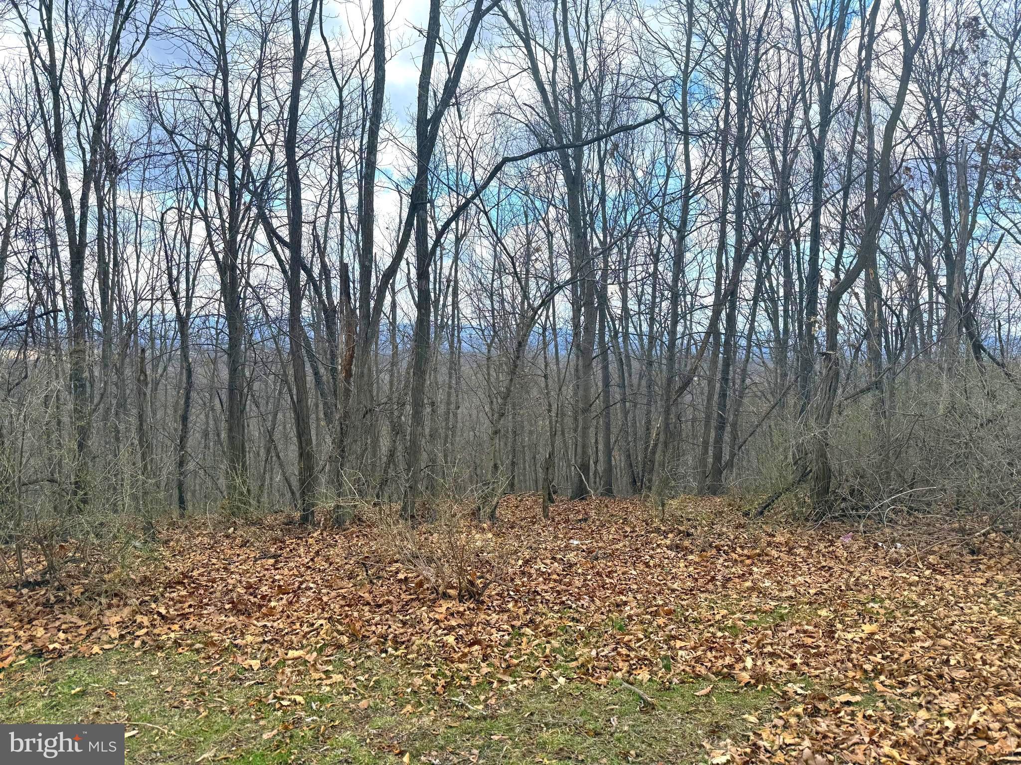 13 A Beam Road Romney, WV 26757 - Photo 12 of 14 a view of wooden fence