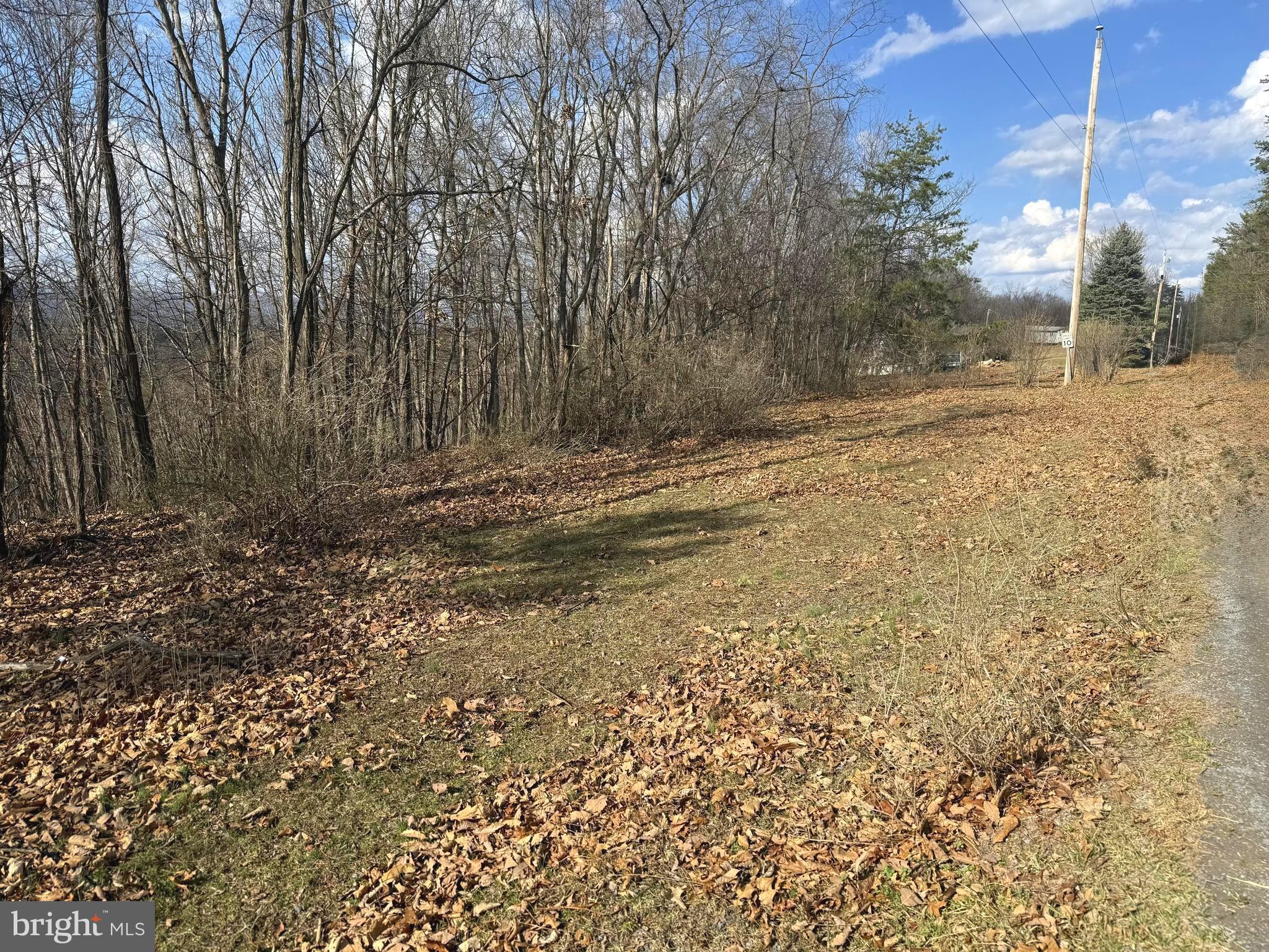 13 A Beam Road Romney, WV 26757 - Photo 2 of 14 a view of a yard with trees