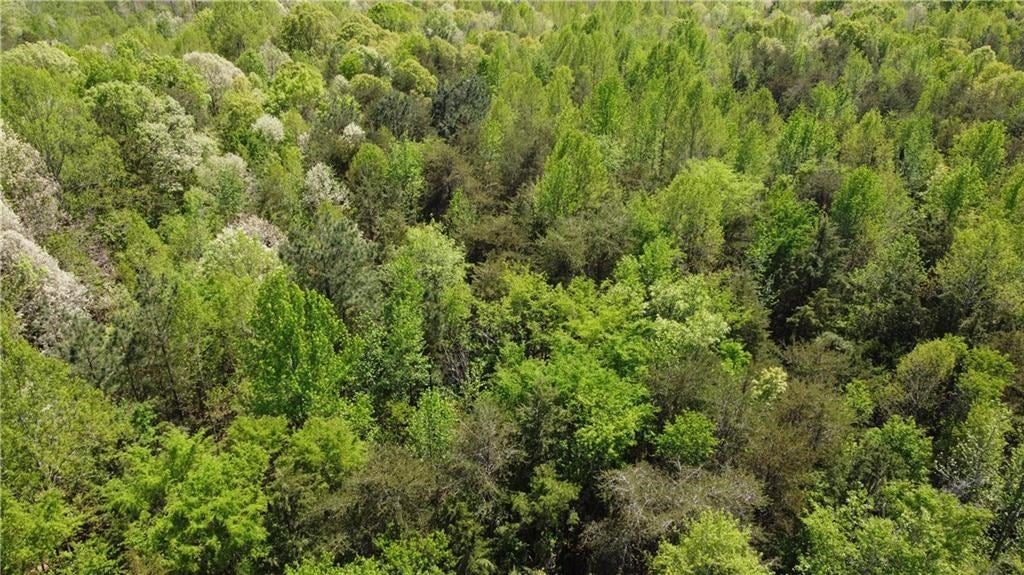 Amelia Springs Road Jetersville, VA 23083 - Photo 15 of 16 Gallery Image 15