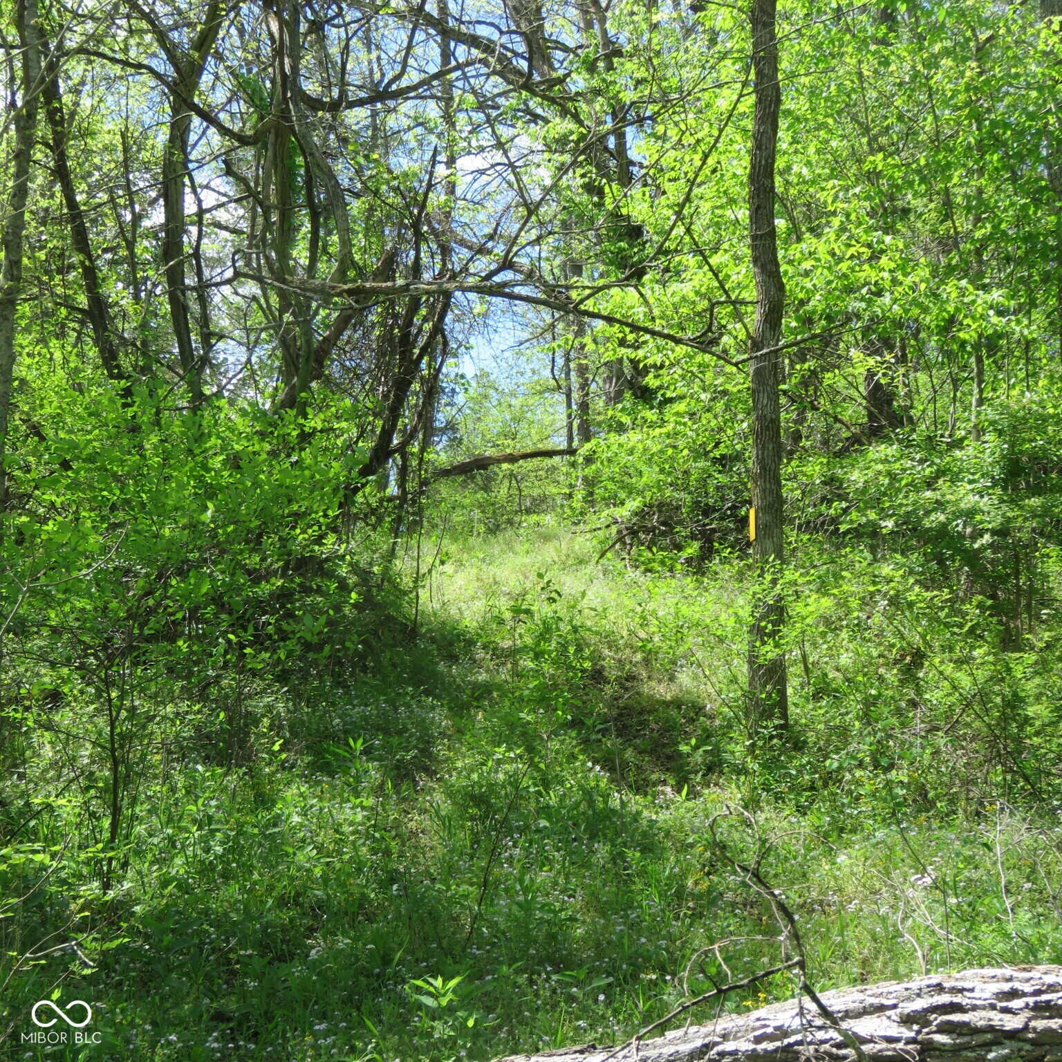 11265 Arnold Miller Road Canaan, IN 47224 - Photo 11 of 73
