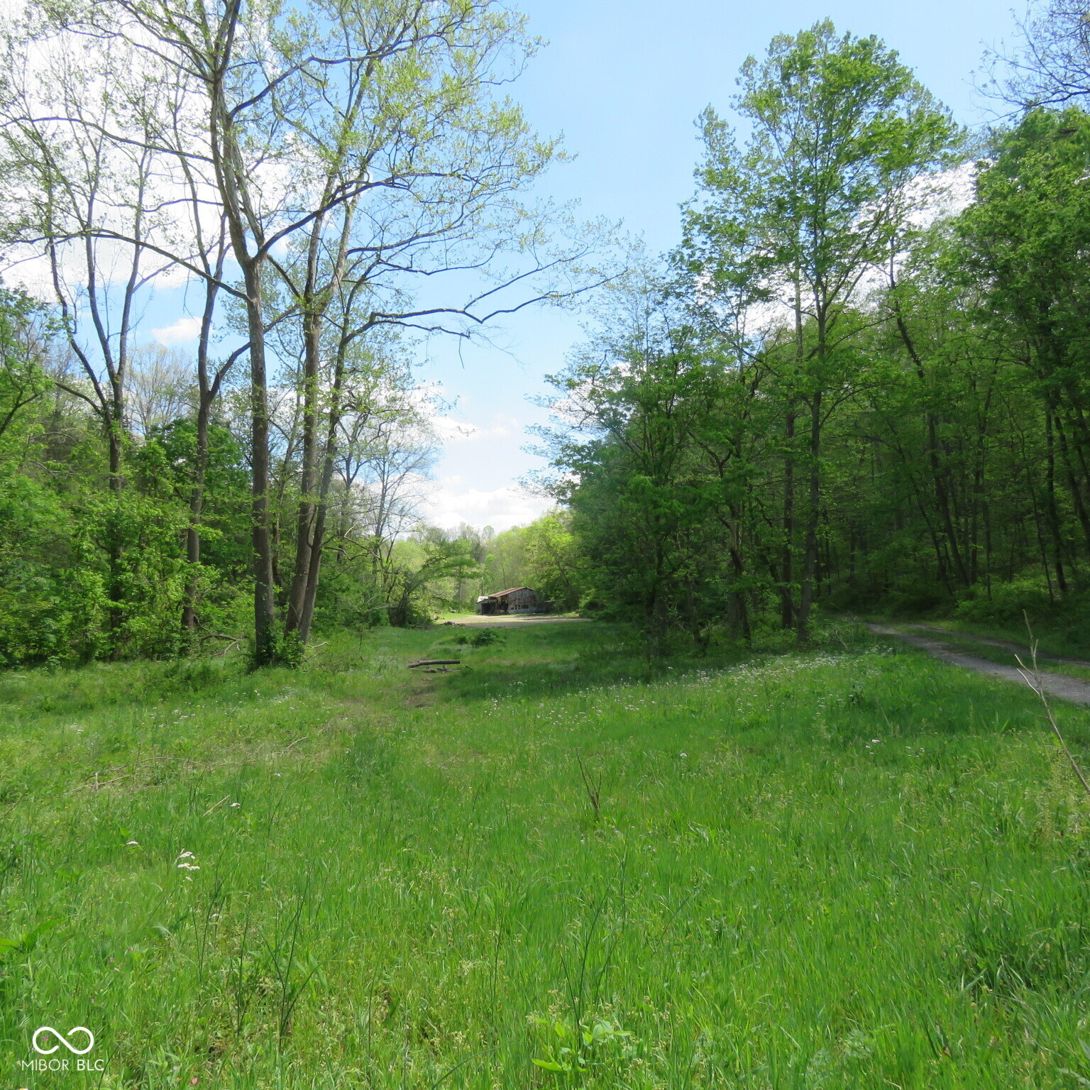 11265 Arnold Miller Road Canaan, IN 47224 - Photo 14 of 73