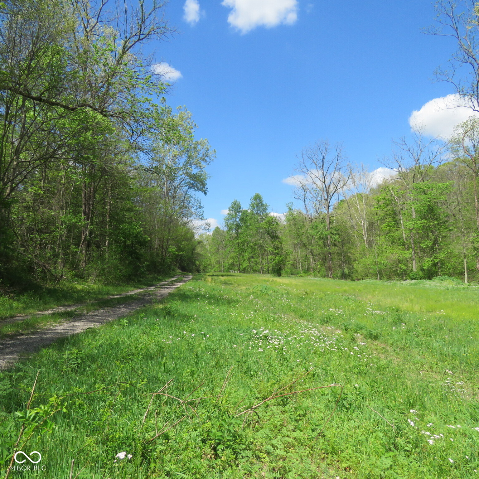 11265 Arnold Miller Road Canaan, IN 47224 - Photo 16 of 73
