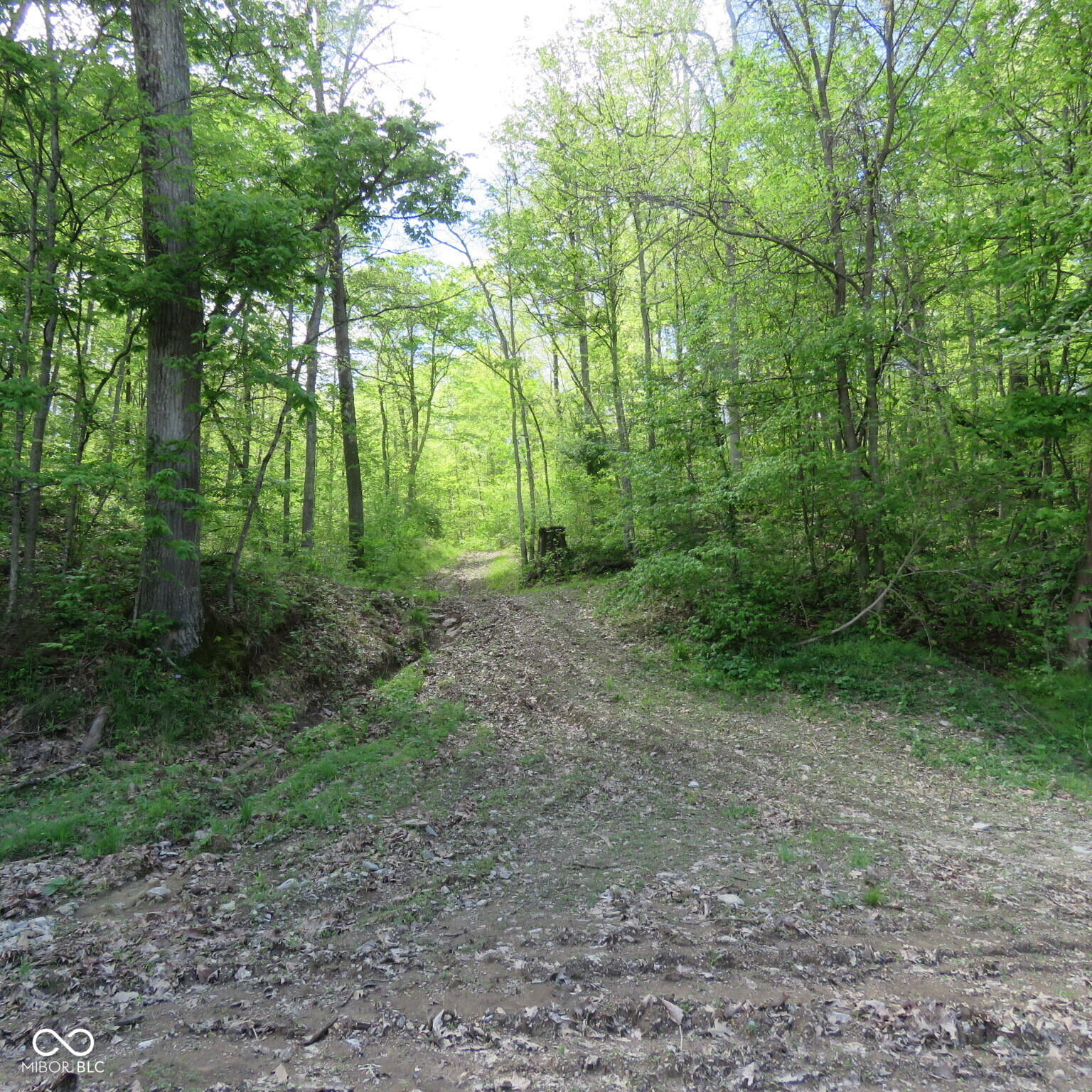 11265 Arnold Miller Road Canaan, IN 47224 - Photo 17 of 73