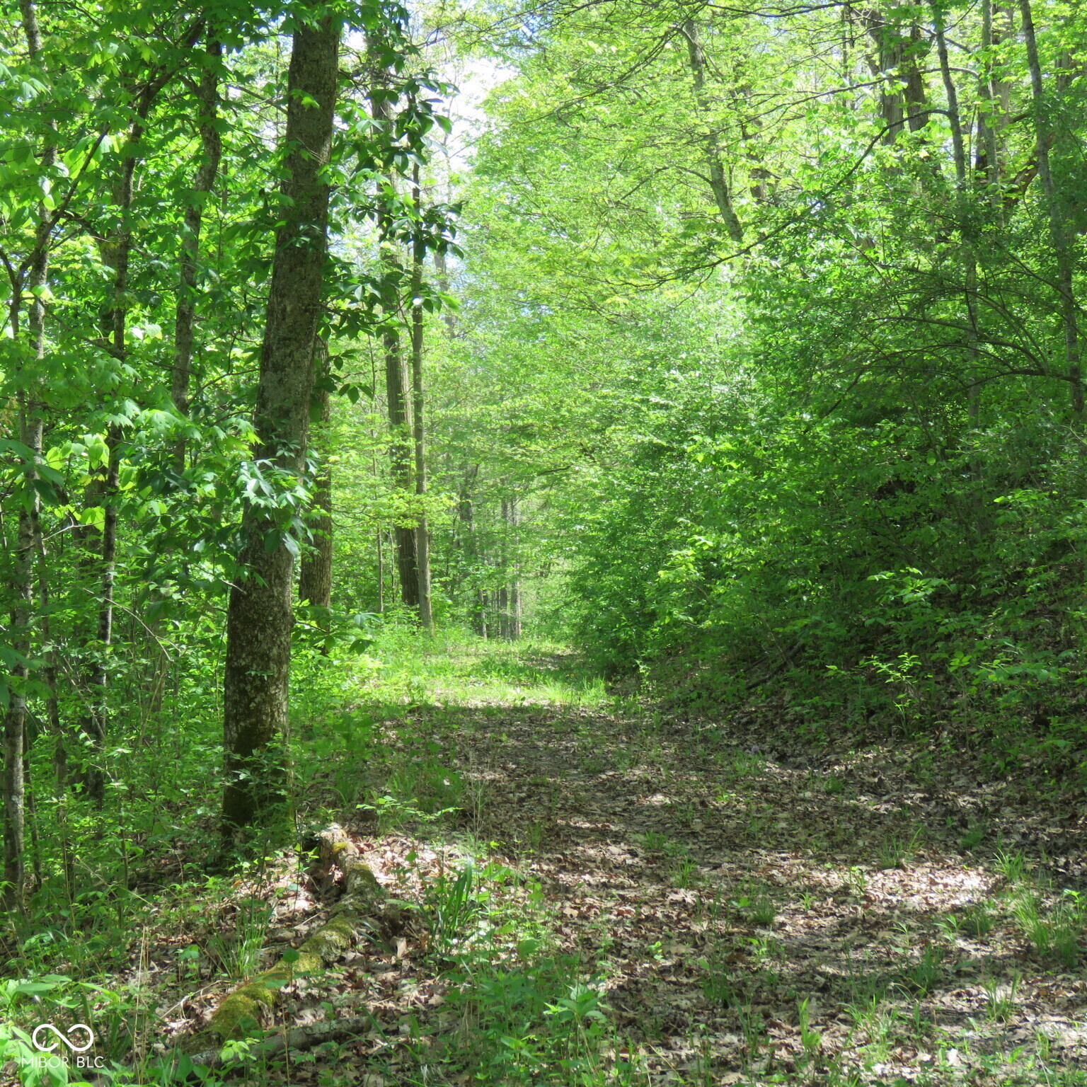11265 Arnold Miller Road Canaan, IN 47224 - Photo 19 of 73