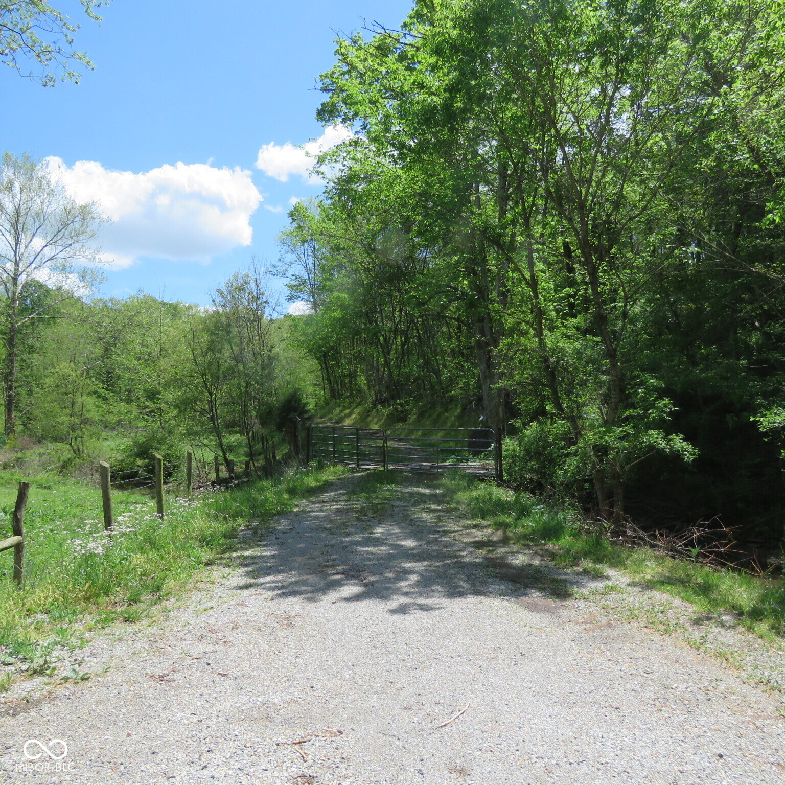 11265 Arnold Miller Road Canaan, IN 47224 - Photo 2 of 73