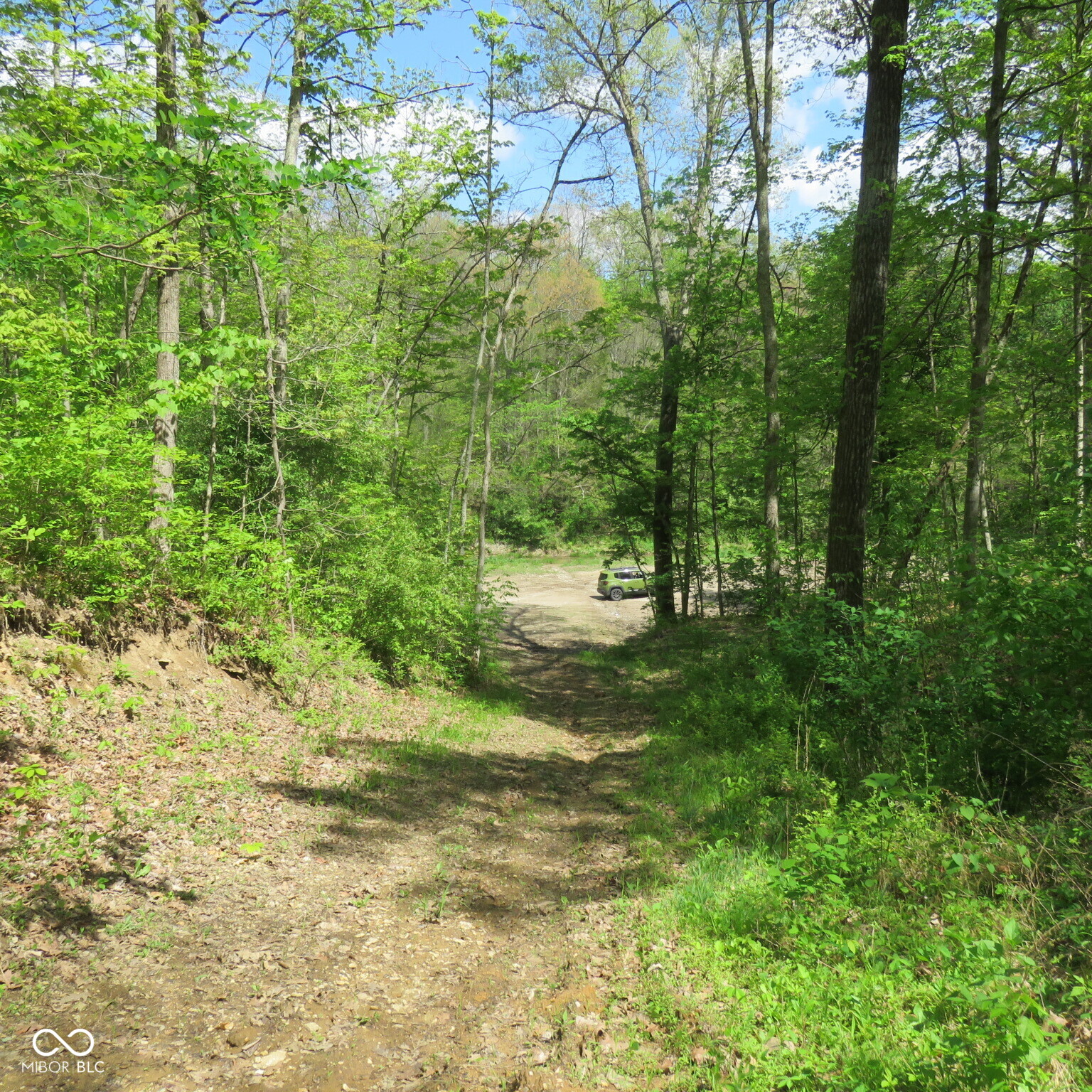 11265 Arnold Miller Road Canaan, IN 47224 - Photo 23 of 73