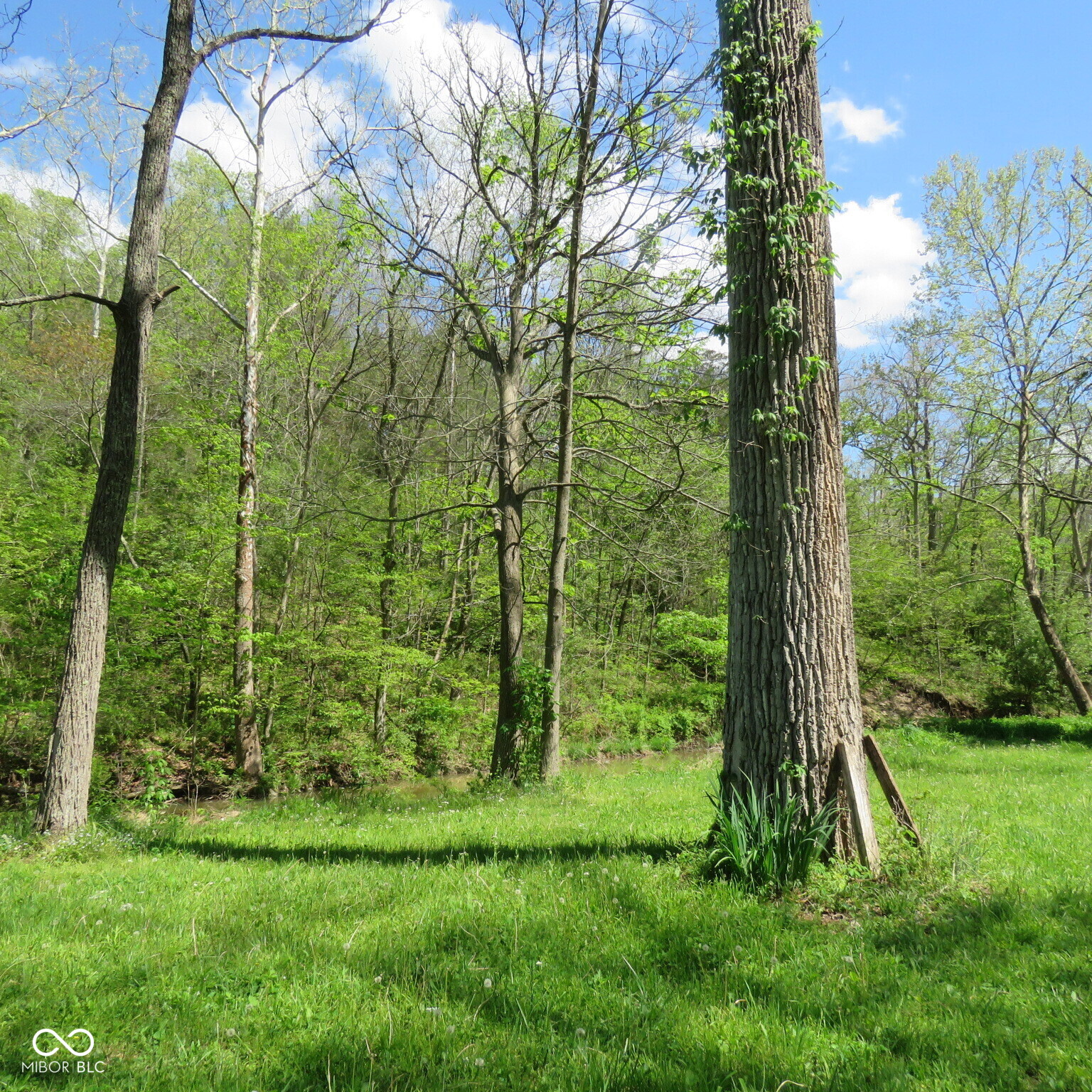 11265 Arnold Miller Road Canaan, IN 47224 - Photo 49 of 73
