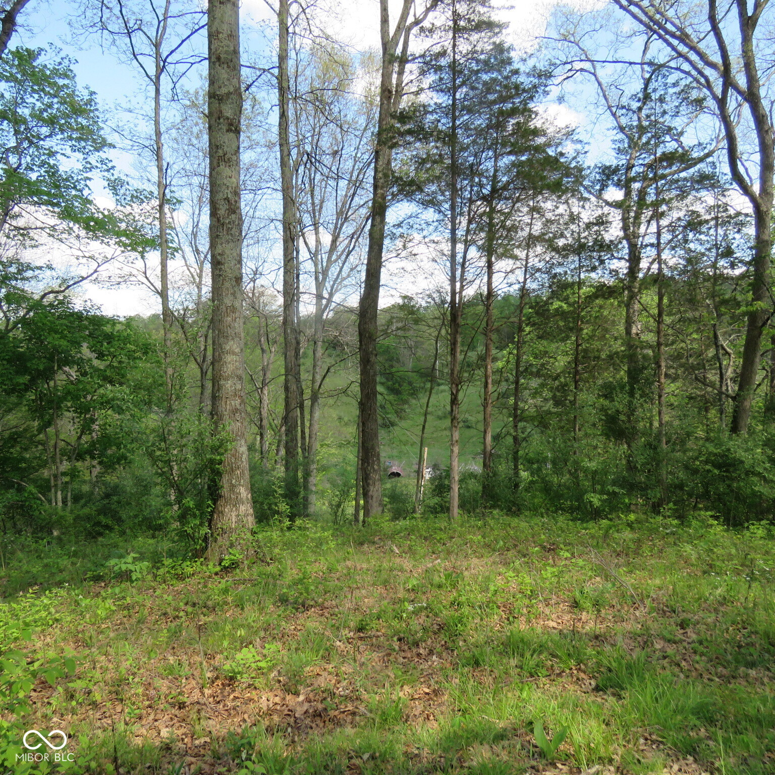 11265 Arnold Miller Road Canaan, IN 47224 - Photo 54 of 73