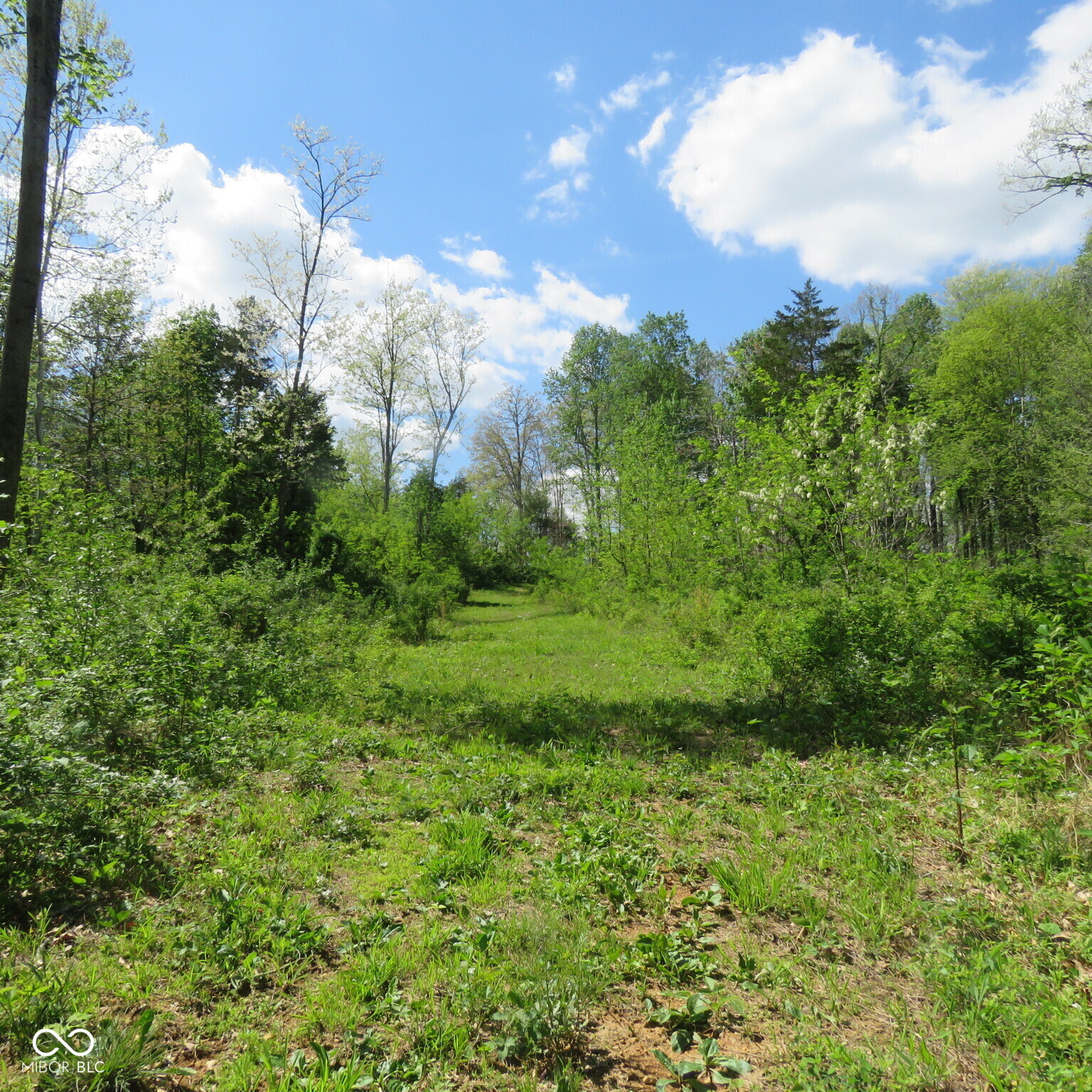 11265 Arnold Miller Road Canaan, IN 47224 - Photo 58 of 73