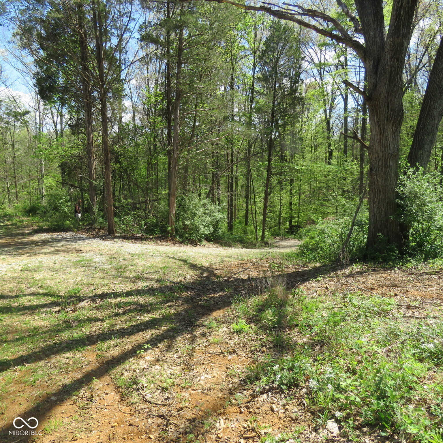 11265 Arnold Miller Road Canaan, IN 47224 - Photo 59 of 73