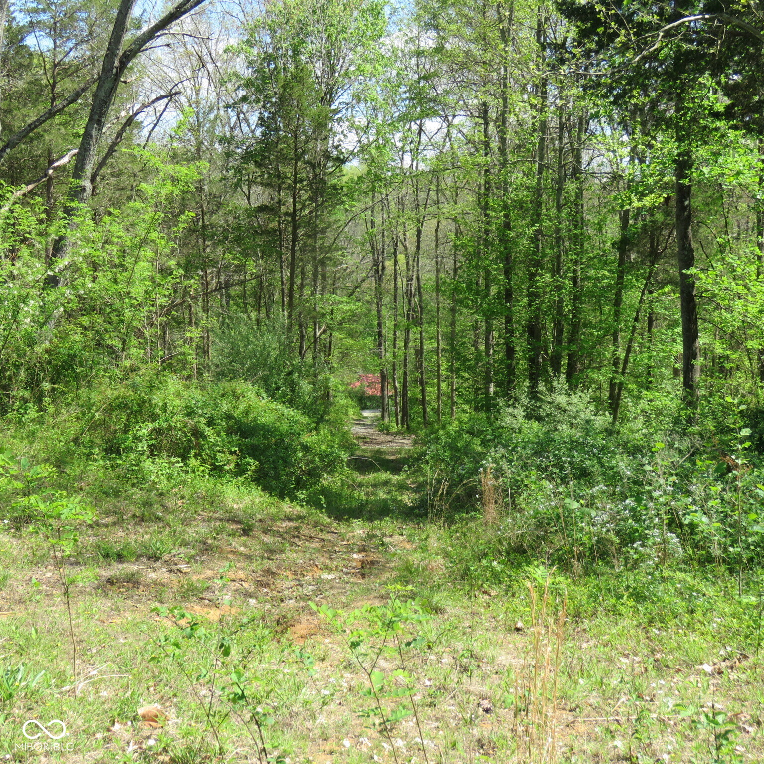 11265 Arnold Miller Road Canaan, IN 47224 - Photo 61 of 73