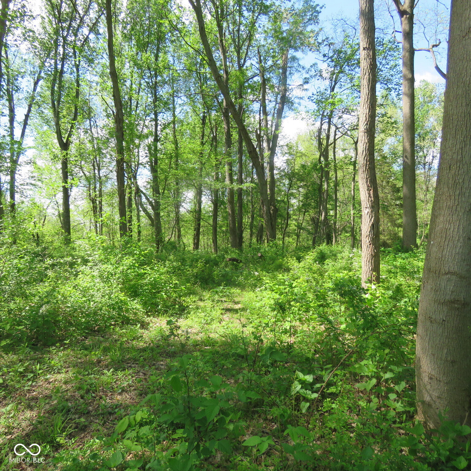 11265 Arnold Miller Road Canaan, IN 47224 - Photo 65 of 73