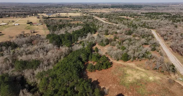 an aerial view of forest