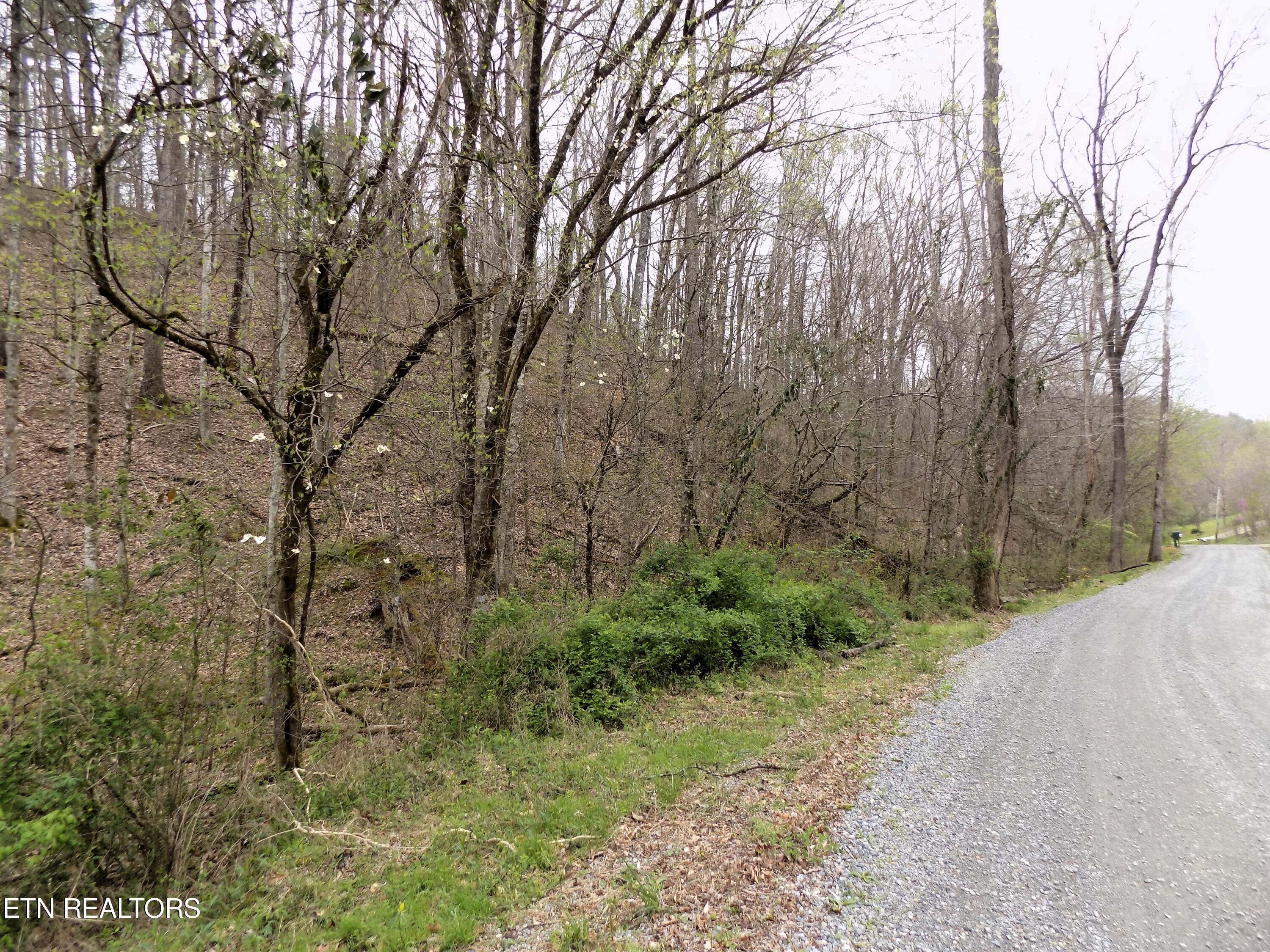 001.08 Mountain Shadow Way Cosby, TN 37722 - Photo 4 of 17 Lot 85 Rd Frontage